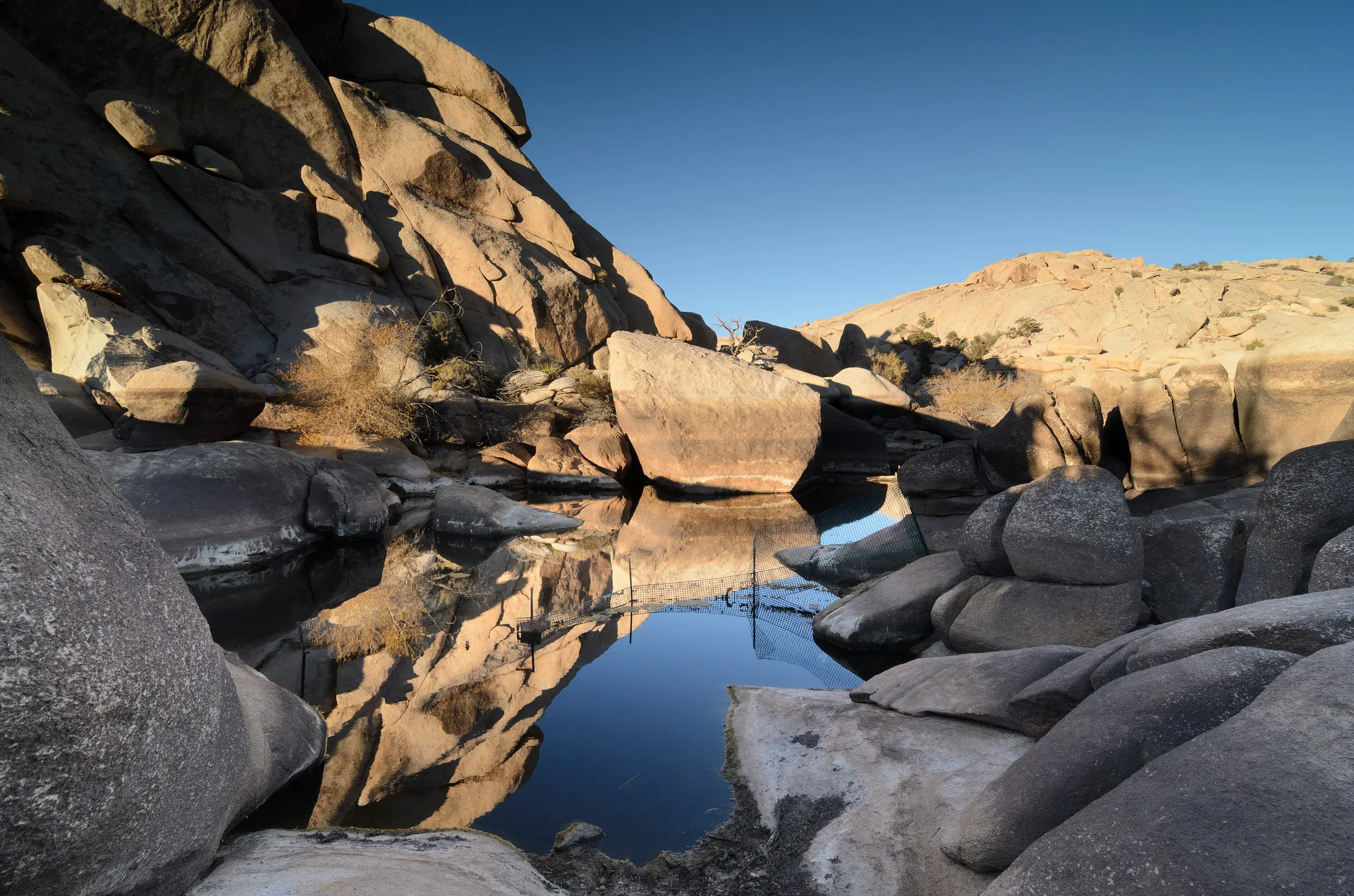Barker Dam holding water between Joshua Tree rock formations