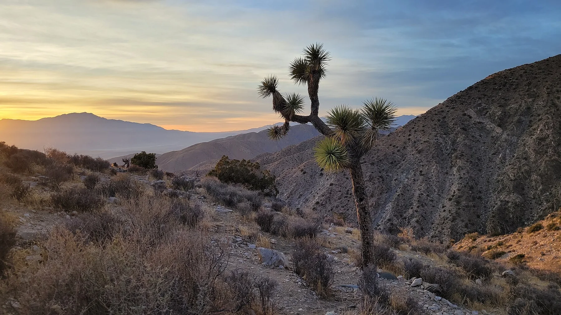 Desert ridges and valley floor seen from Keys View