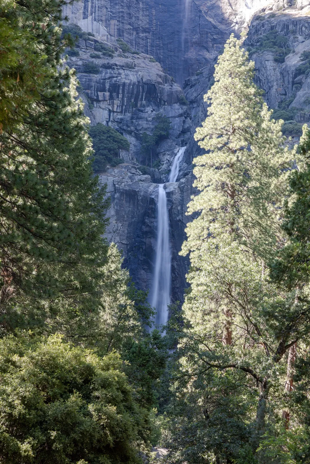 Lower Yosemite Fall descending beside tall granite walls