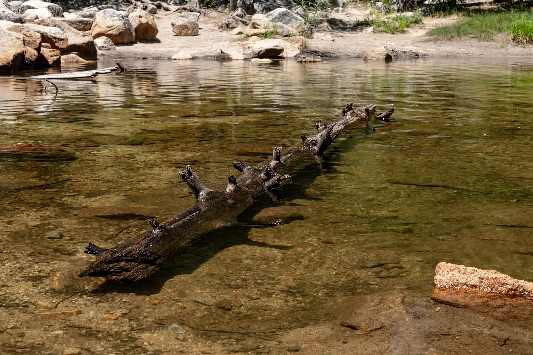 Still water and forest at Mirror Lake beneath Yosemite cliffs