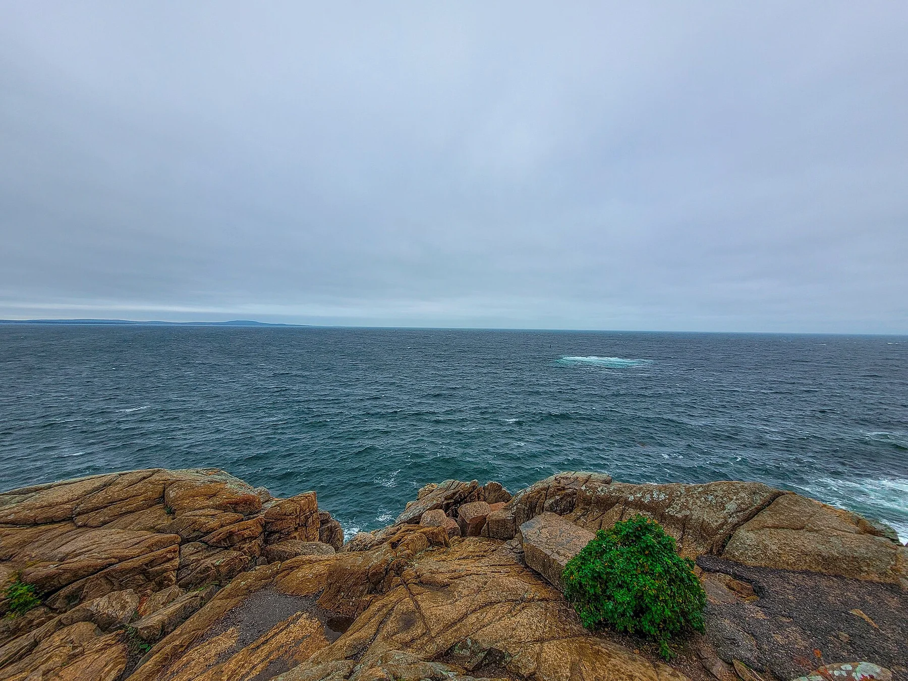 Pink-granite coast and evergreen forest beside Ocean Path