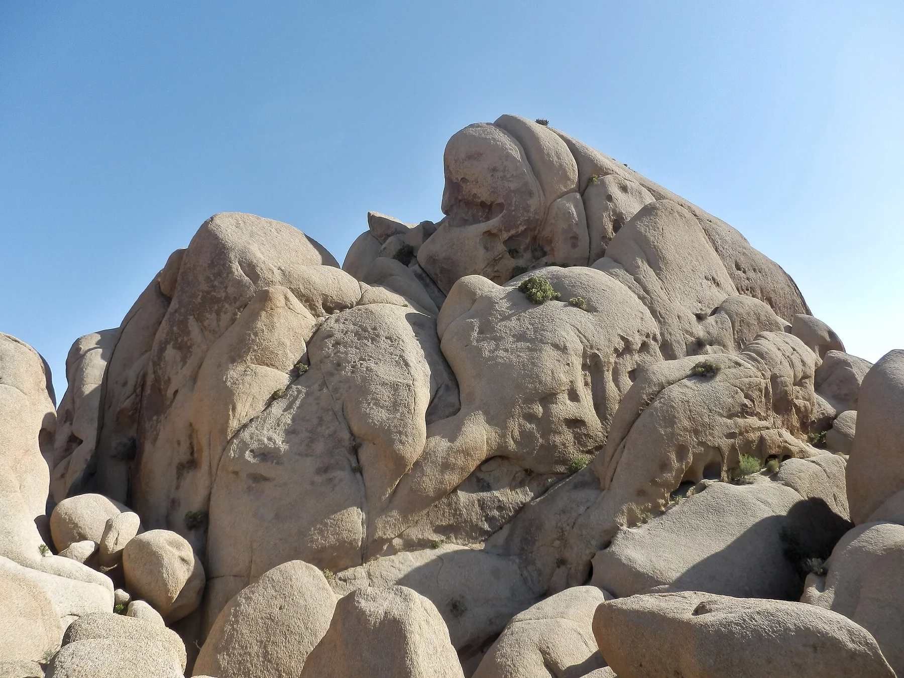 Skull Rock Trail winding between rounded monzogranite formations