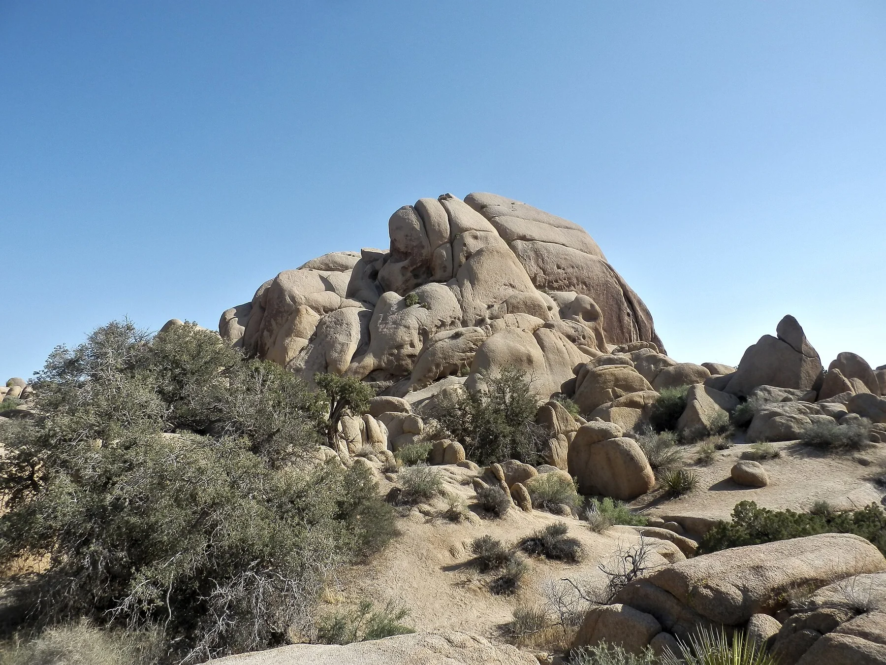 Granite boulders and desert vegetation along Skull Rock Trail