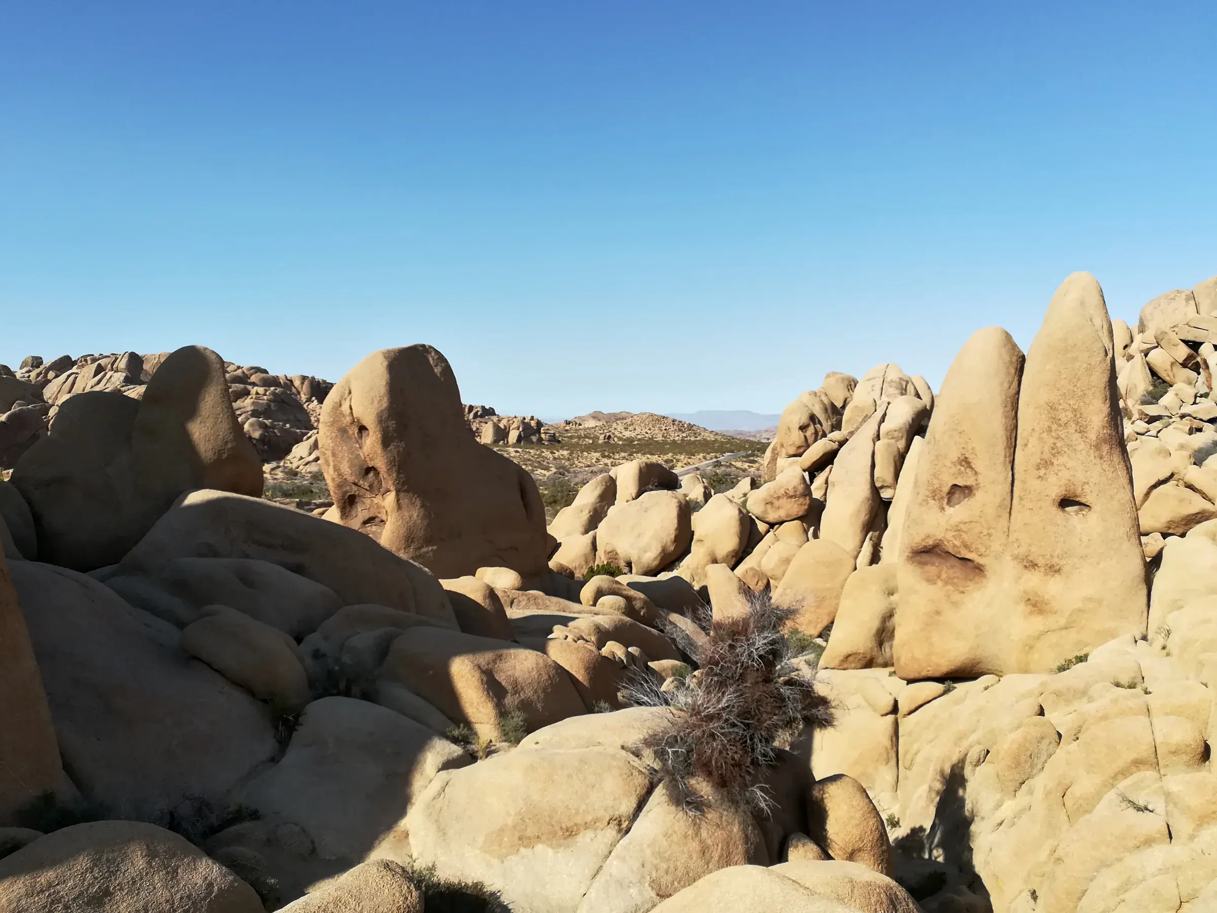The skull-shaped granite formation beside the Skull Rock trail