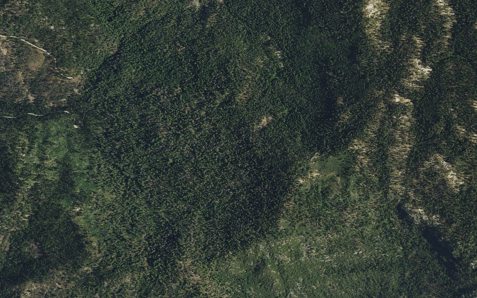 Aerial view centered on Wawona Campground
