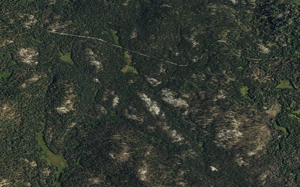 Aerial view centered on Bridalveil Creek Campground