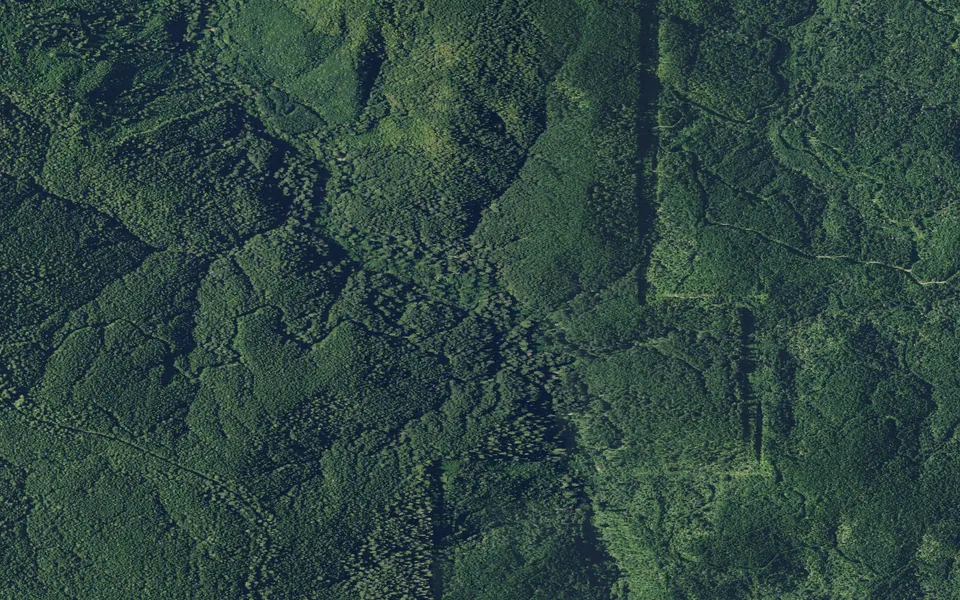 Aerial view centered on Mill Campground