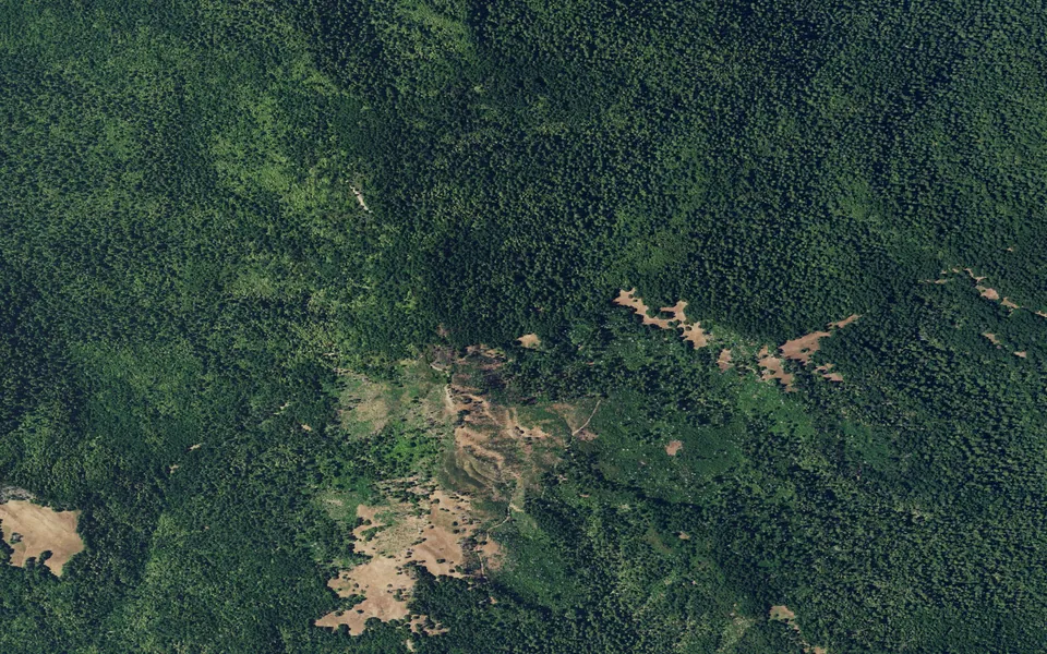 Aerial view centered on Grasshopper Trail Camp