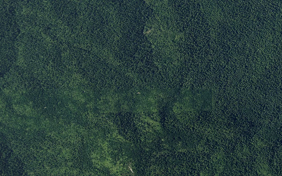 Aerial view centered on Johnson Trail Camp