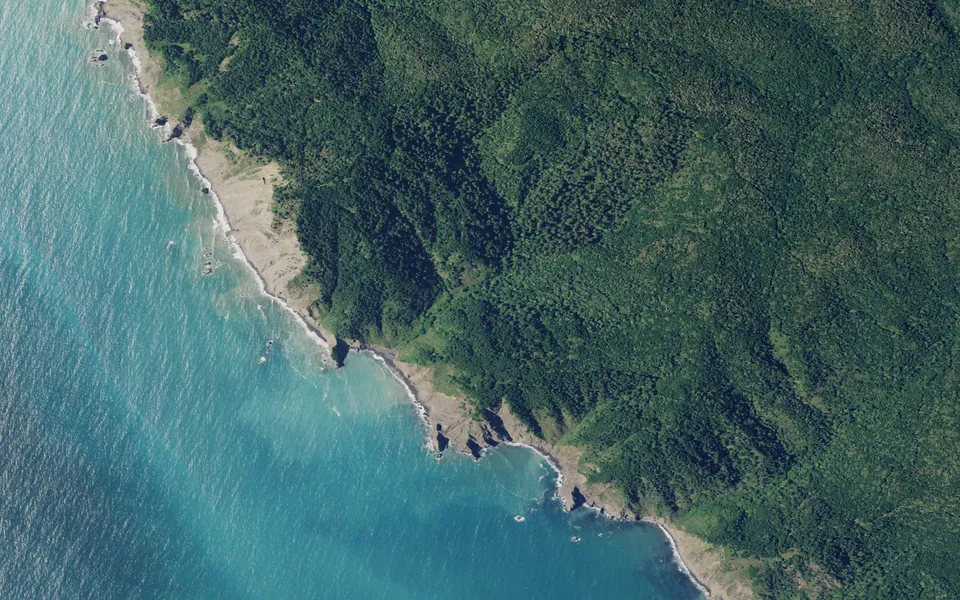 Aerial view centered on Little Jackass Creek Camp