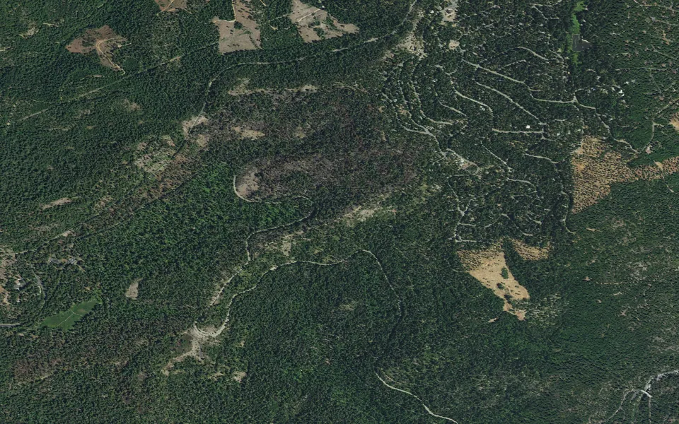 Aerial view centered on Lone Snag