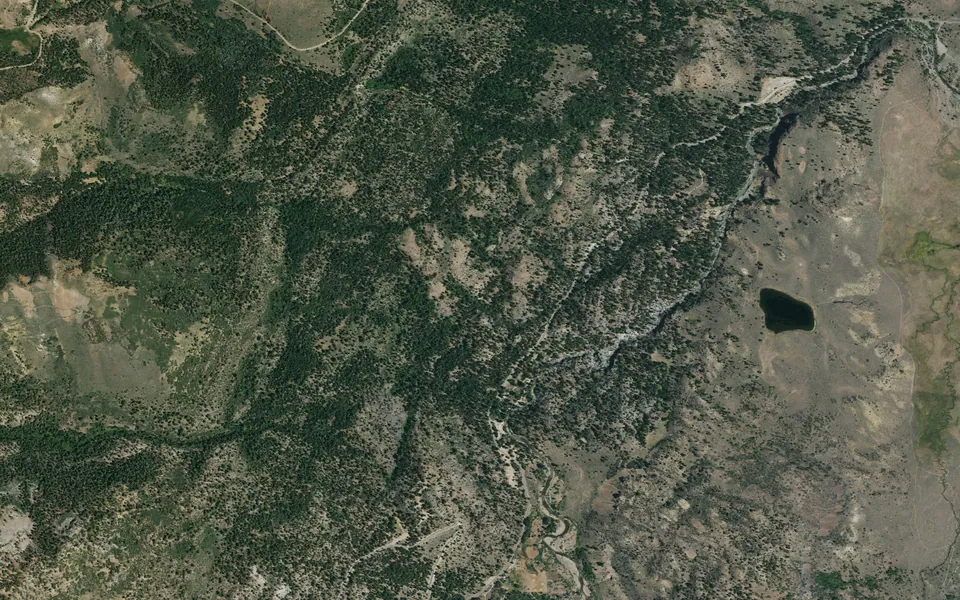 Aerial view centered on Leavitt Meadows