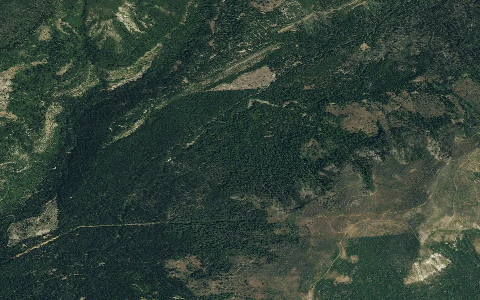 Aerial view centered on Middle Meadows