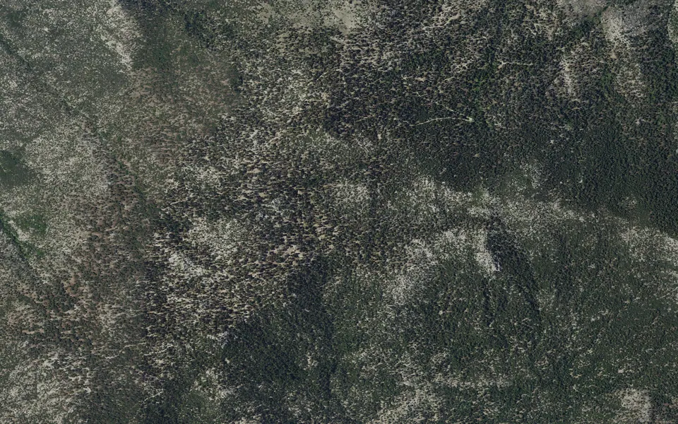 Aerial view centered on Black Mountain (San Bernardino)