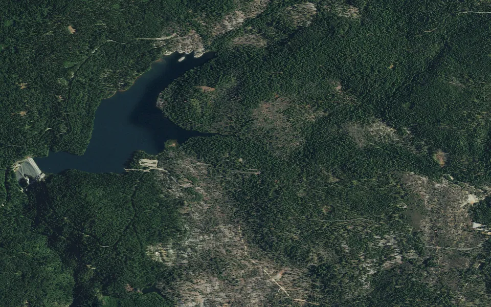 Aerial view centered on Forbes Creek