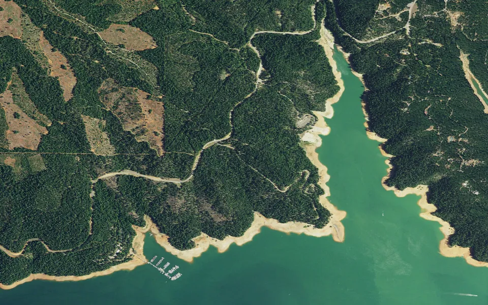 Aerial view centered on Bushytail