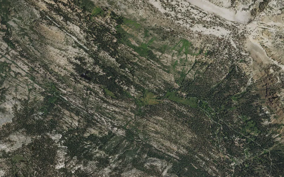 Aerial view centered on Agnew Horse Camp