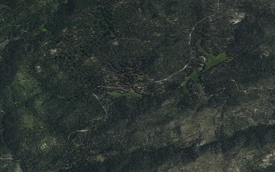 Aerial view centered on Redwood Meadow