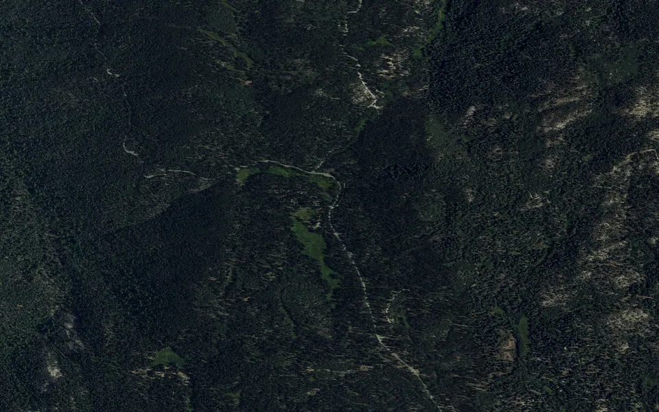 Aerial view centered on Quaking Aspen