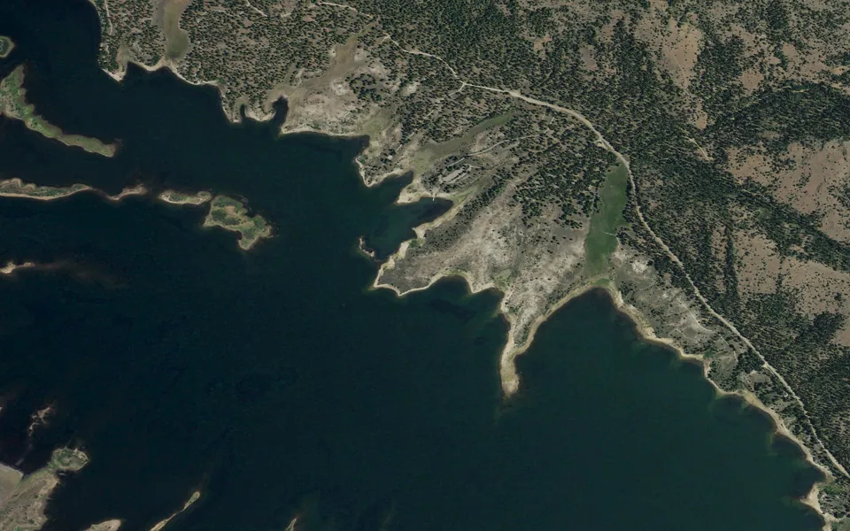Aerial view centered on Lightning Tree