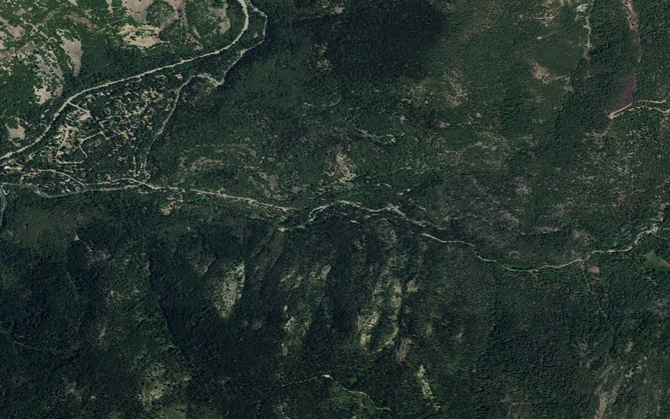 Aerial view centered on Wild Plum