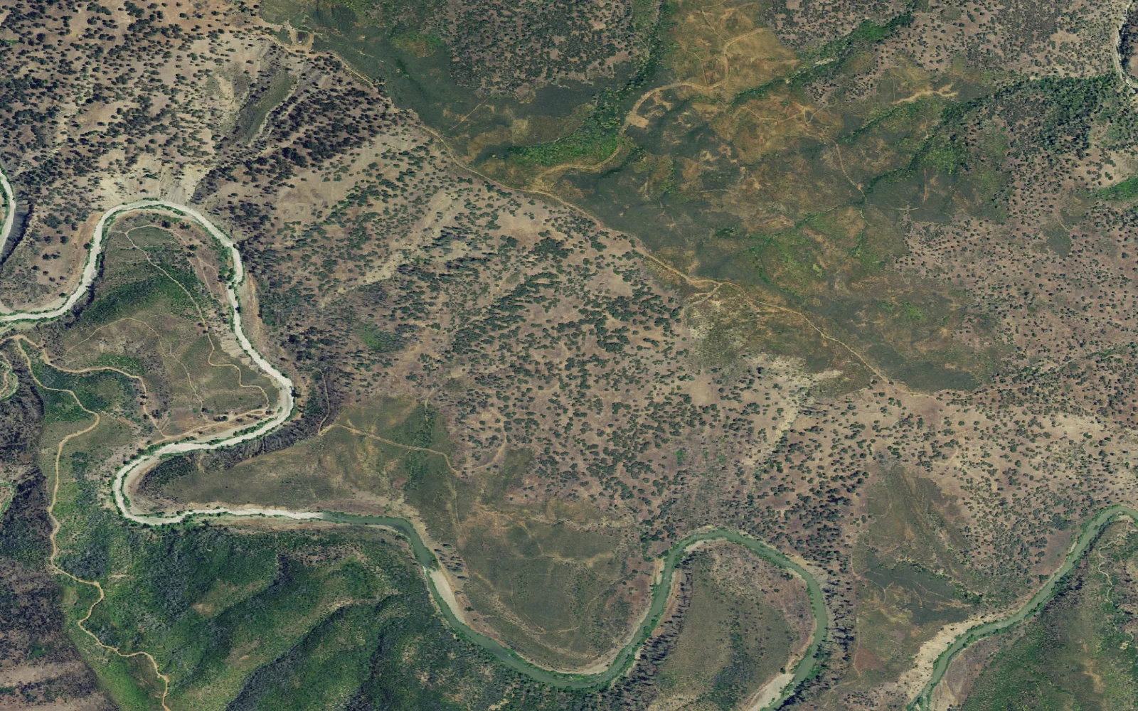 Aerial view centered on Buck Island Trail dispersed-camping corridor camp area