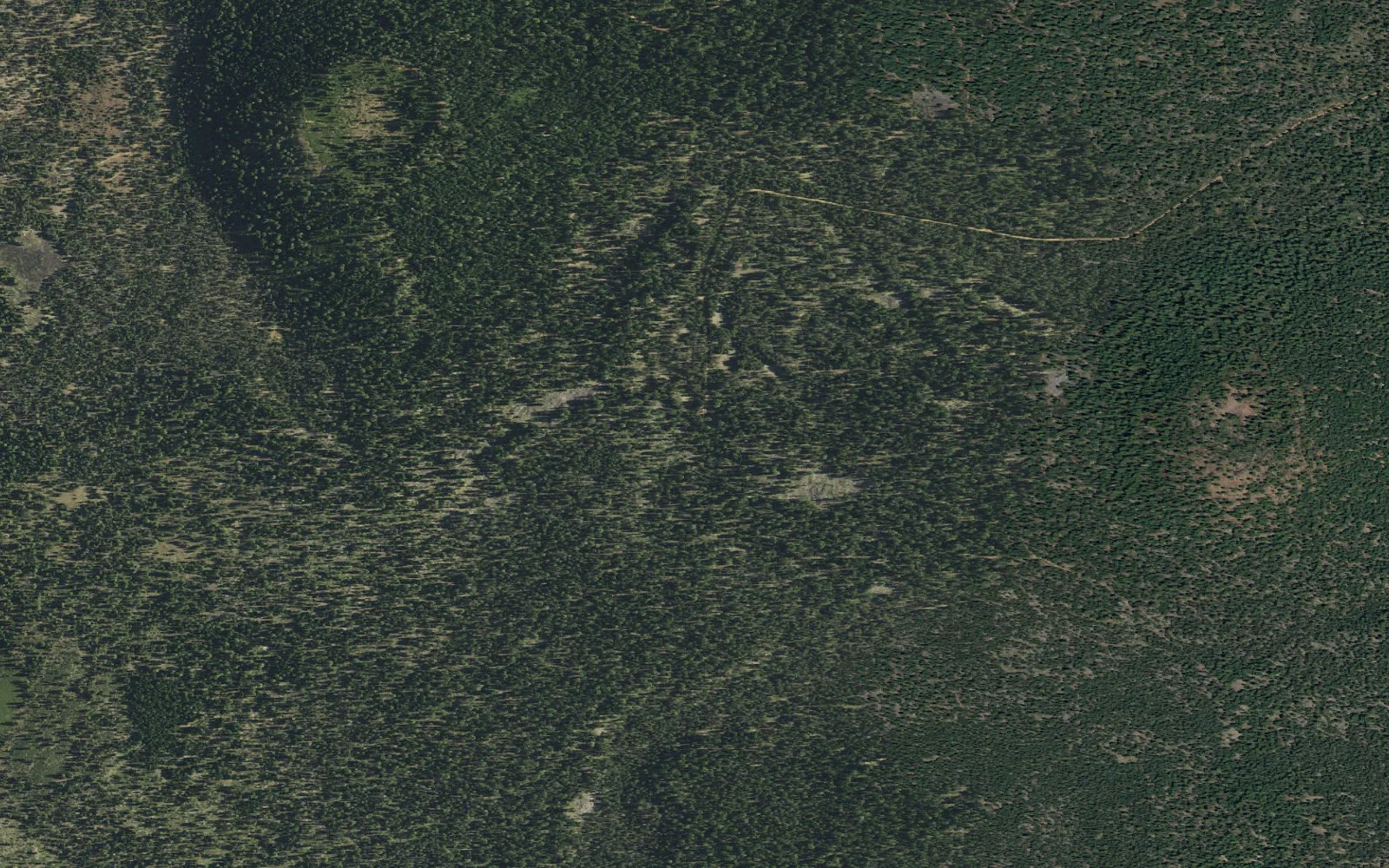 Aerial view centered on Cone Lake camp area