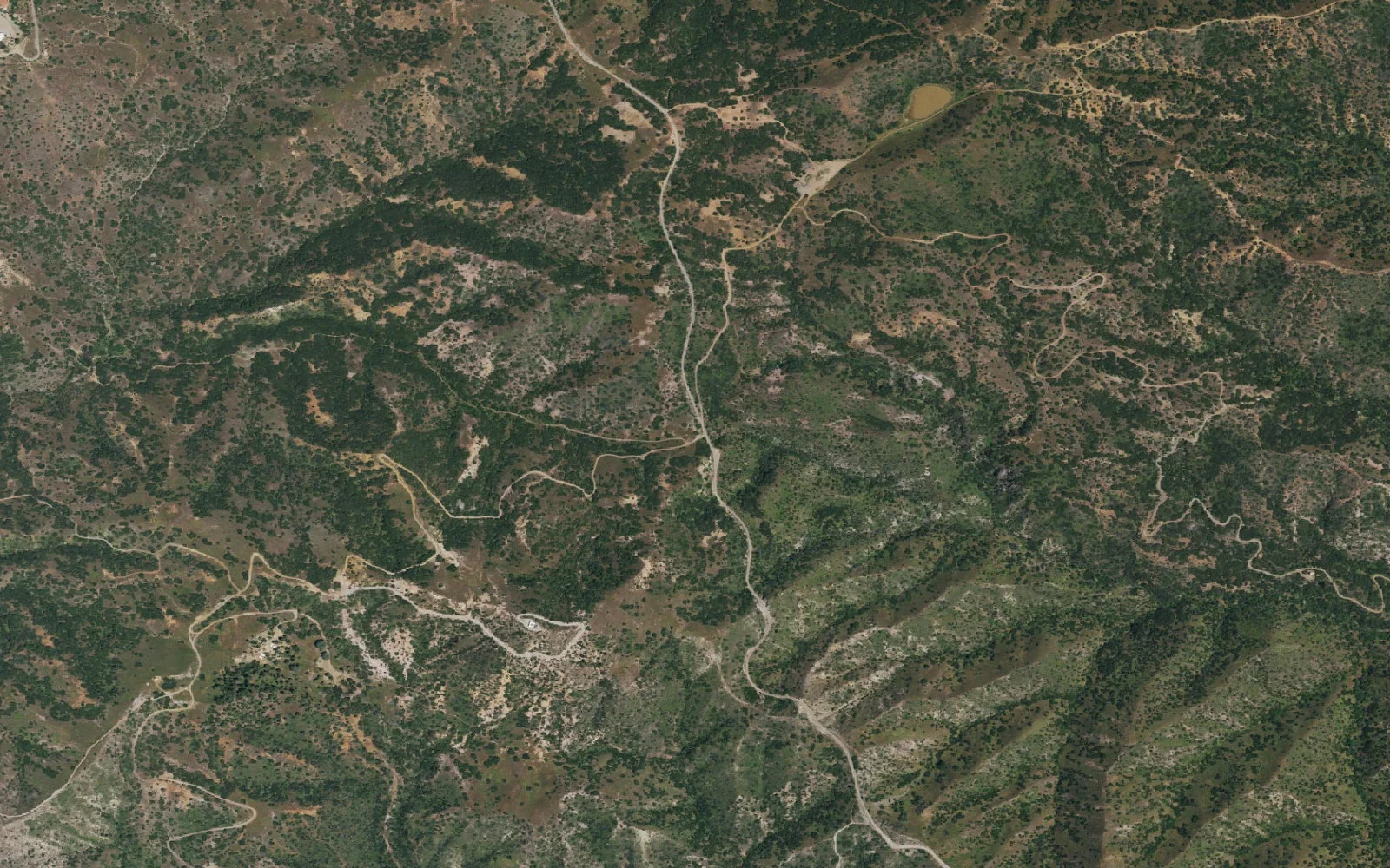 Aerial view centered on Black Jack Campground camp area