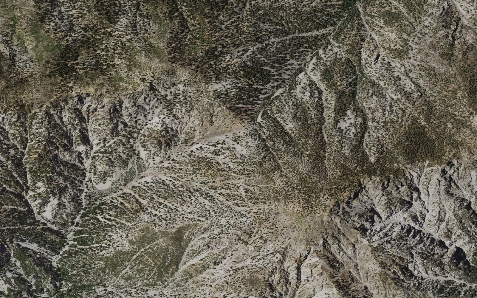 Aerial view centered on Kelly Camp