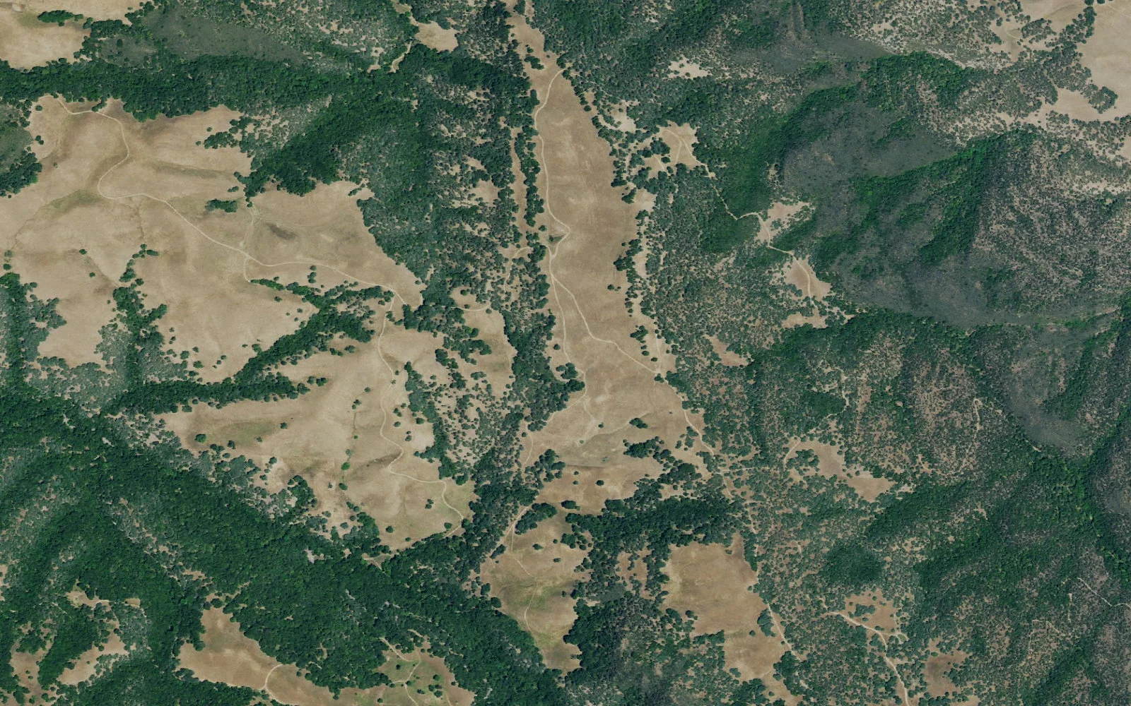 Aerial view centered on Morgan Territory Backpack Camp