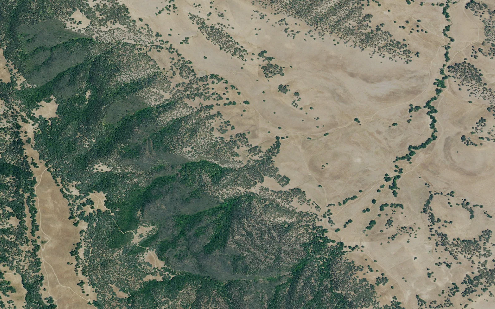 Aerial view centered on Round Valley Backpack Camp