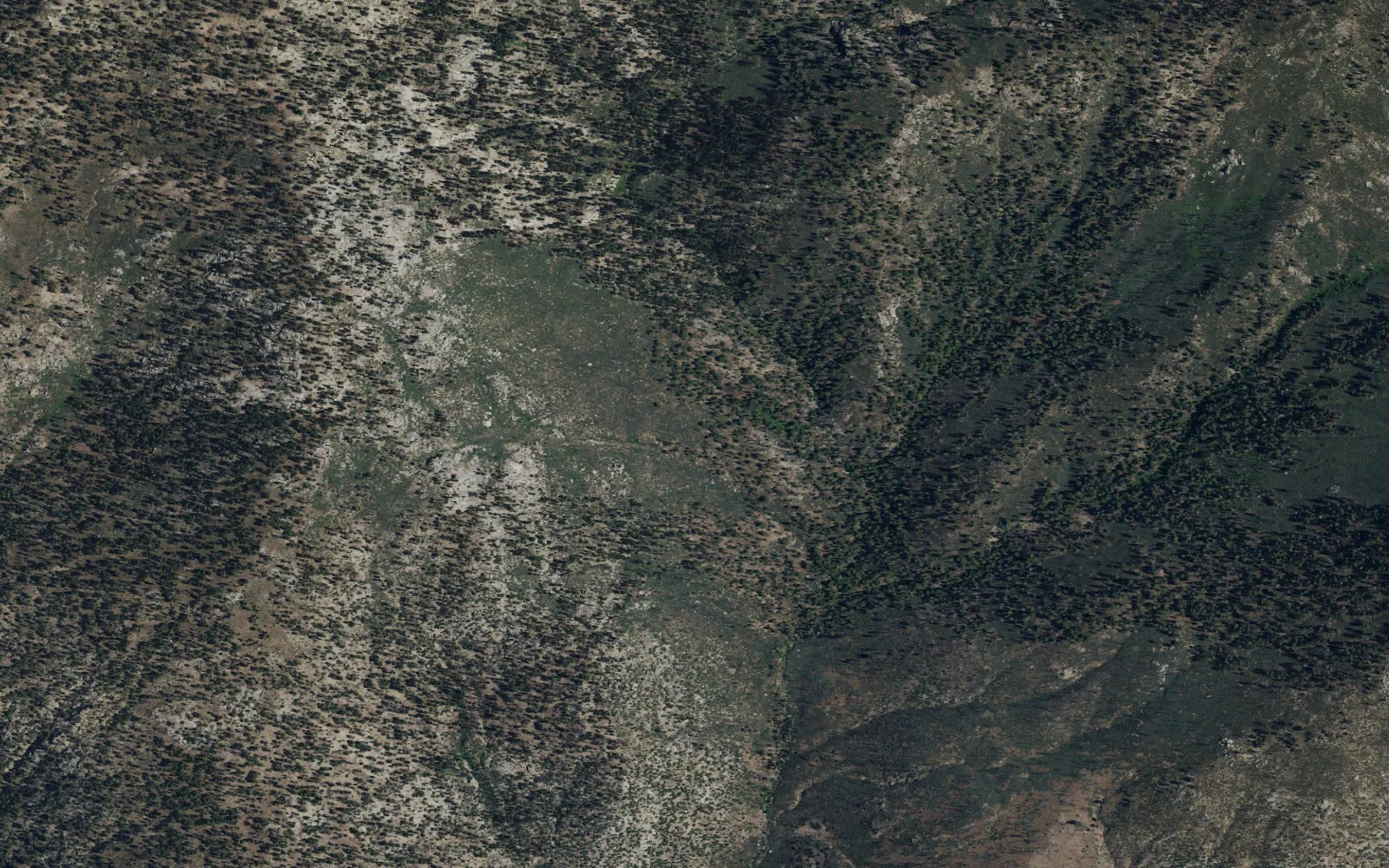 Aerial view centered on Little Whitney Meadow camp area
