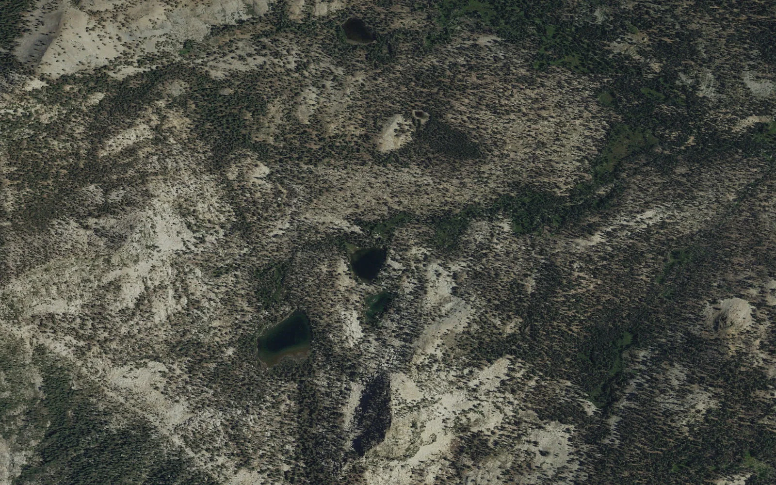 Aerial view centered on Maggie Lakes camp area
