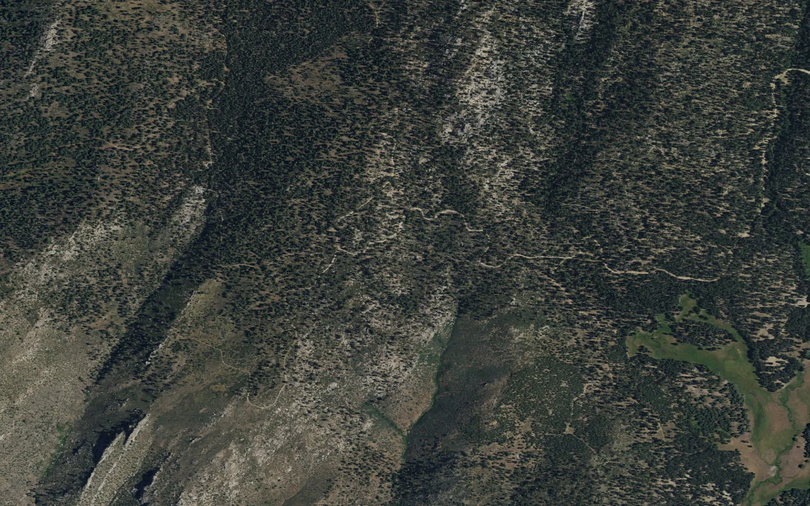 Aerial view centered on Ramshaw Meadow camp area