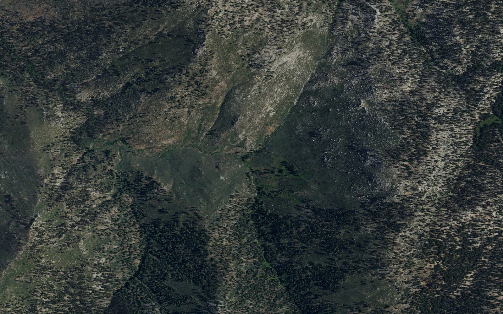 Aerial view centered on Tunnel Meadow camp area