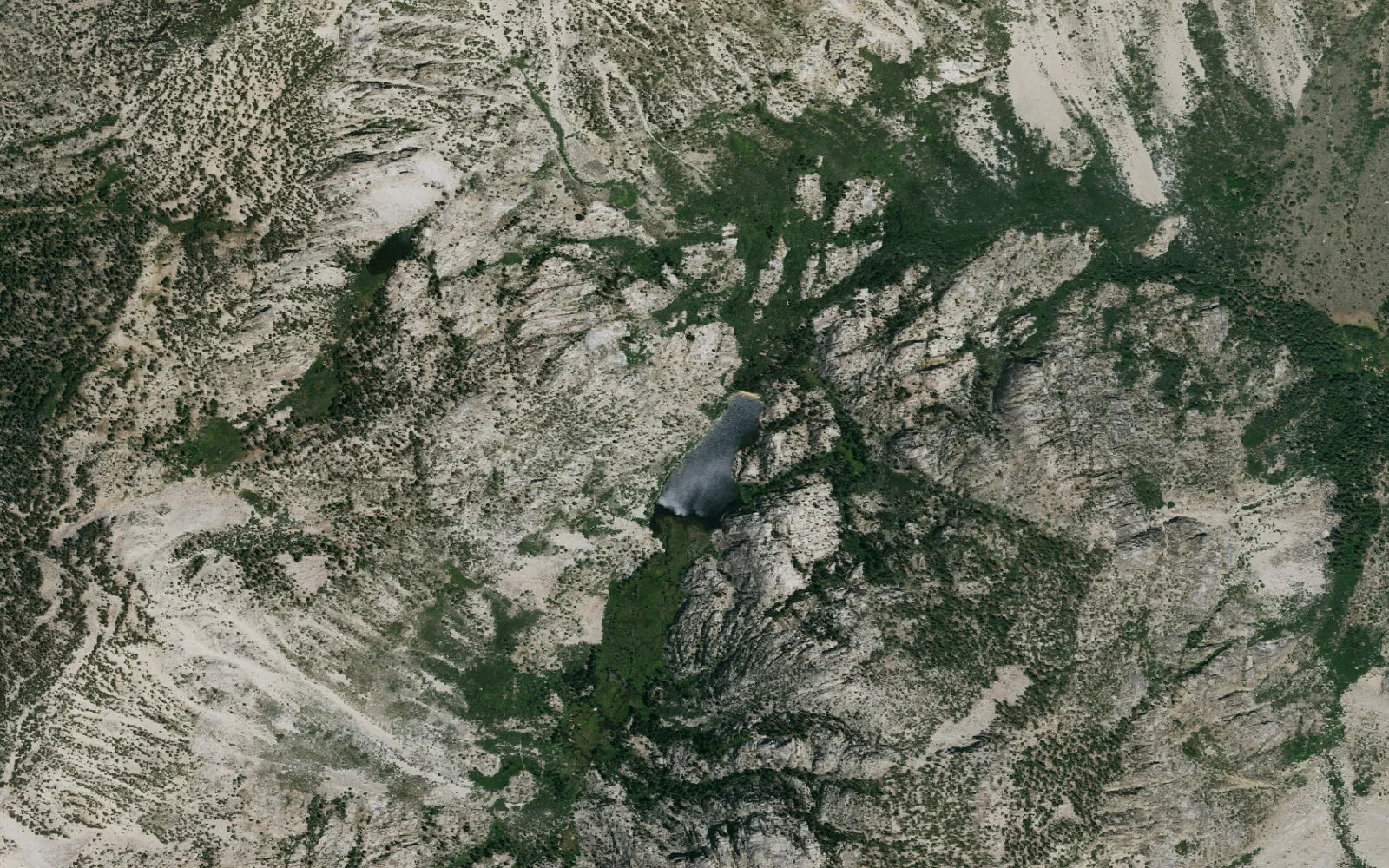 Aerial view centered on Barney Lake camp area