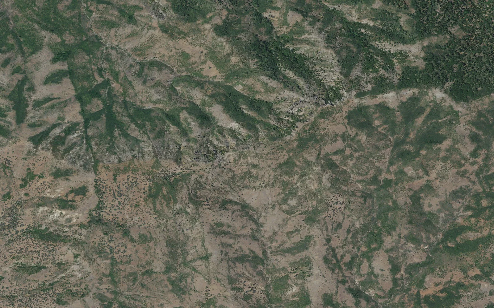 Aerial view centered on Lassen Trail Backcountry Area camp area