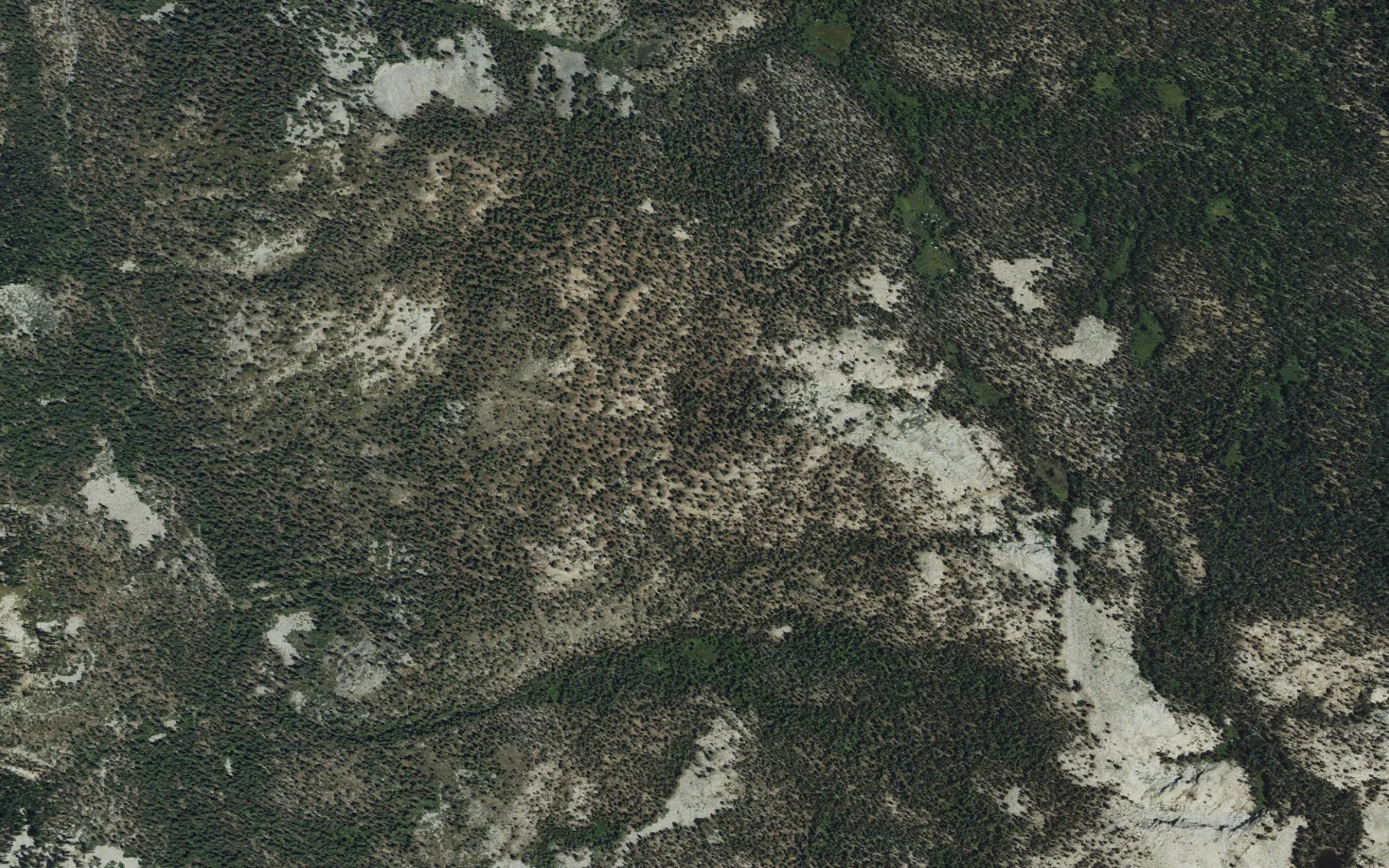 Aerial view centered on Rowell Meadow camp area