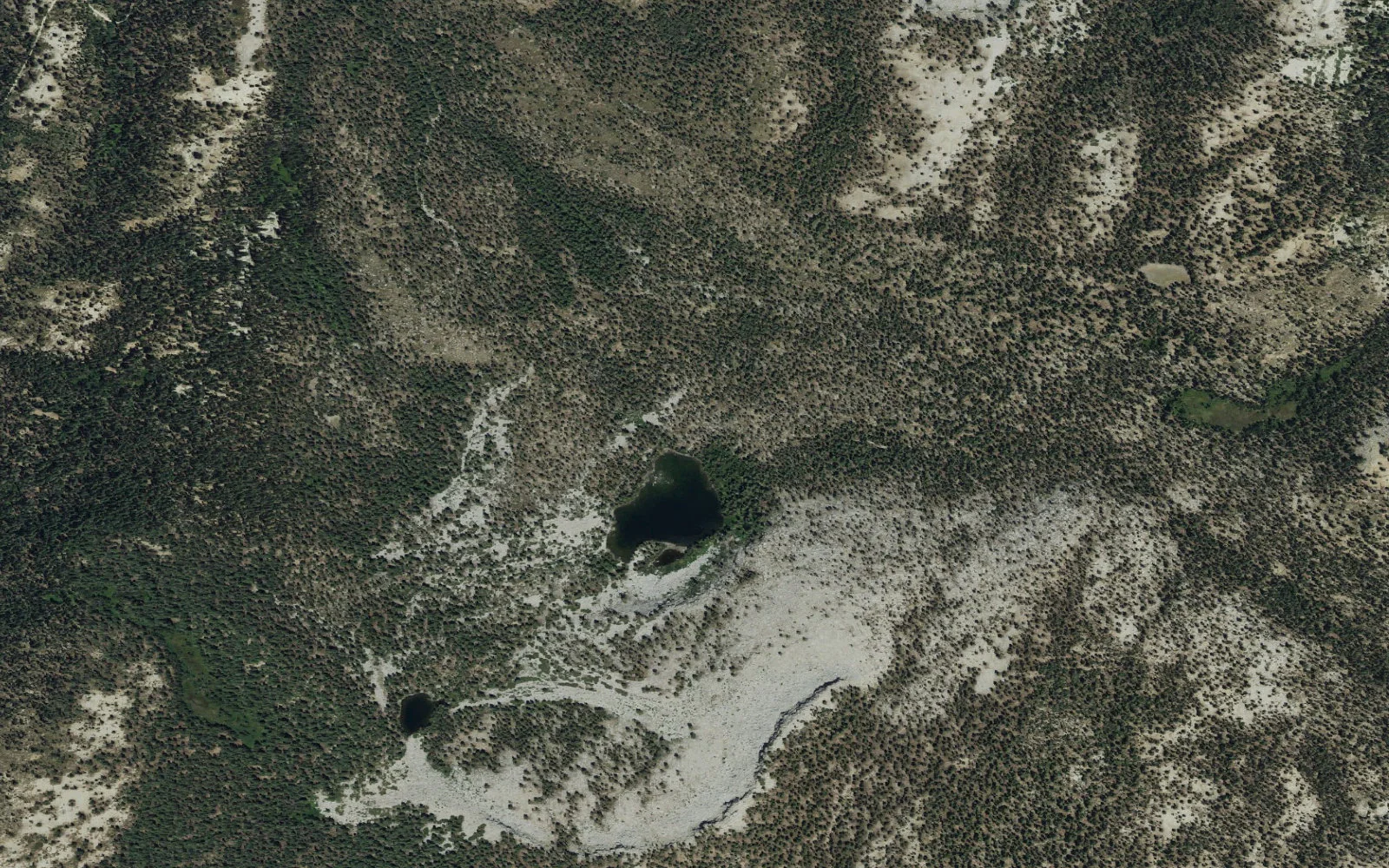 Aerial view centered on Weaver Lake camp area