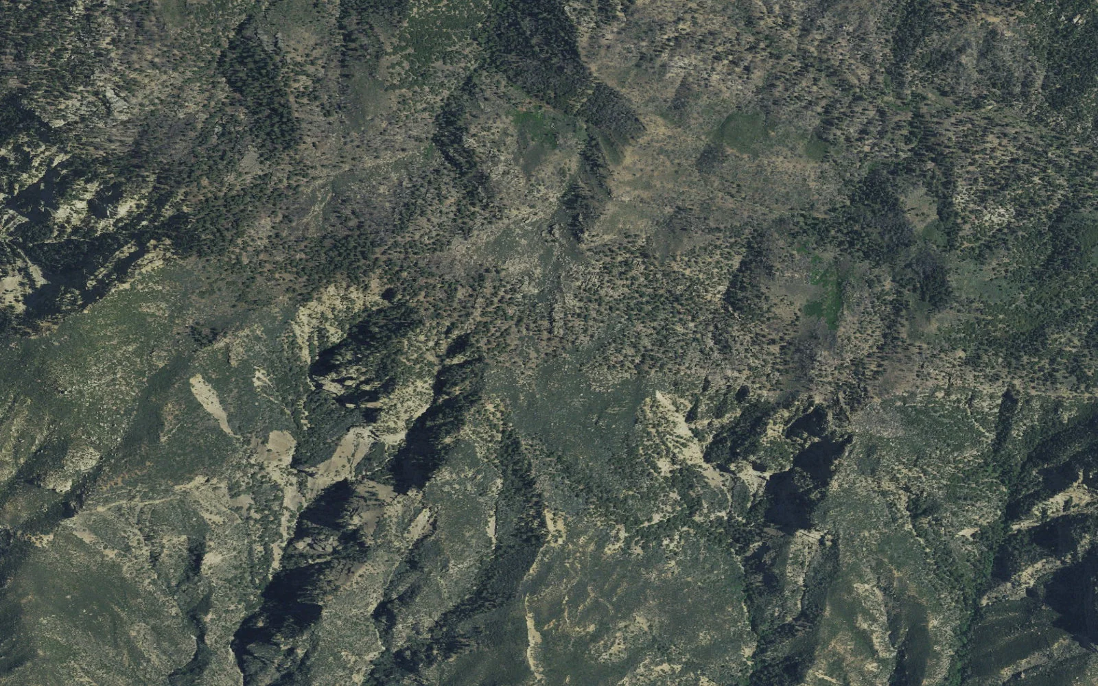 Aerial view centered on Haddock Camp