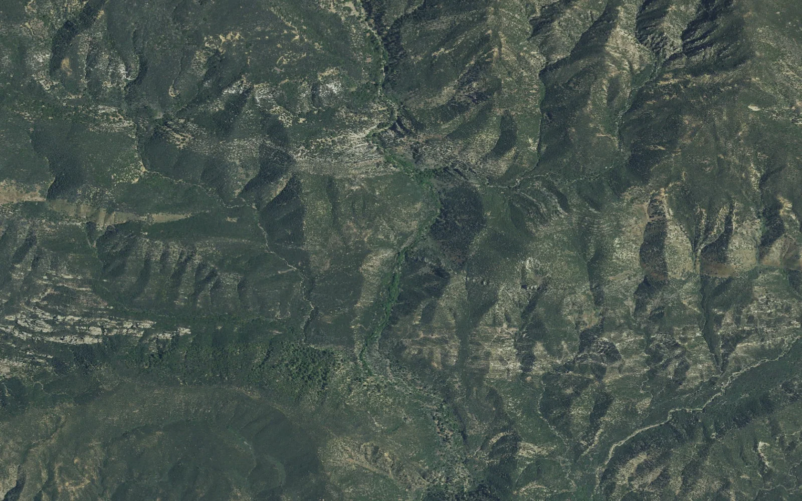Aerial view centered on Potrero John Camp