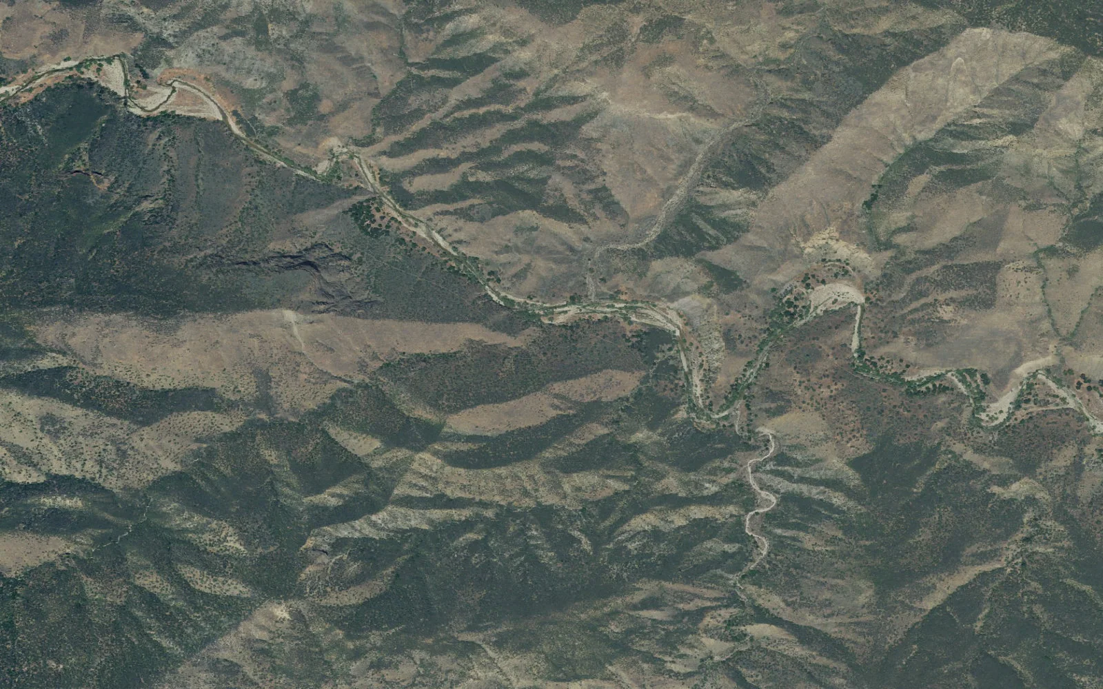 Aerial view centered on Sycamore Camp