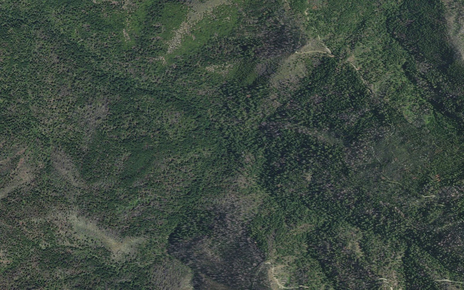 Aerial view centered on Cook and Green Creek Designated Camps Corridor camp area