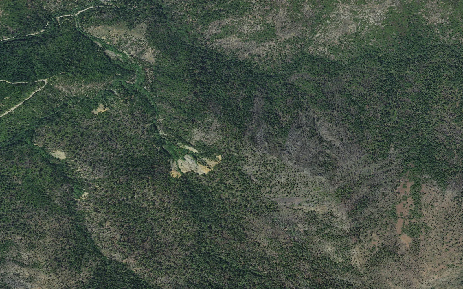 Aerial view centered on Echo Lake Junction Backcountry Area camp area