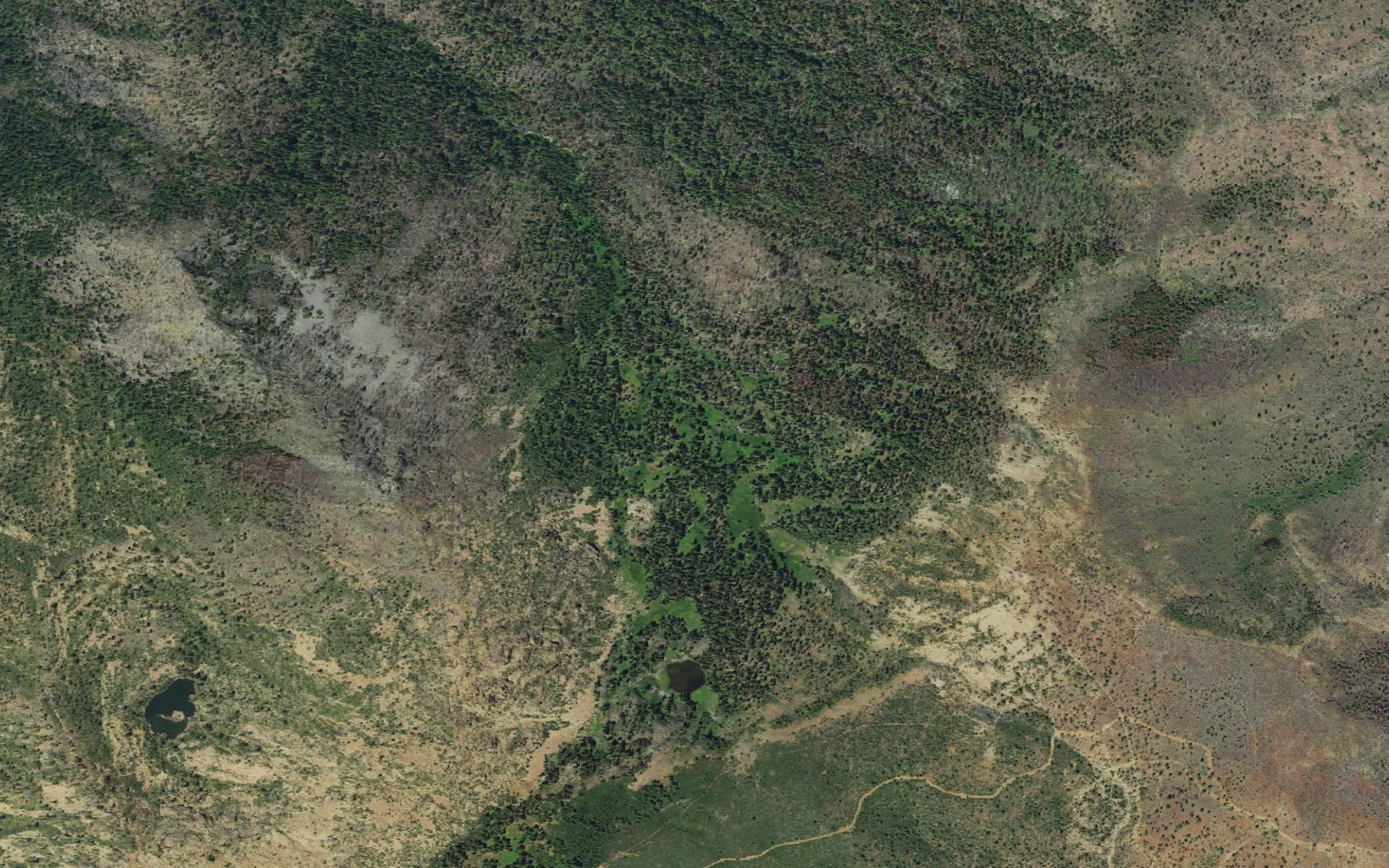 Aerial view centered on Horse Camp