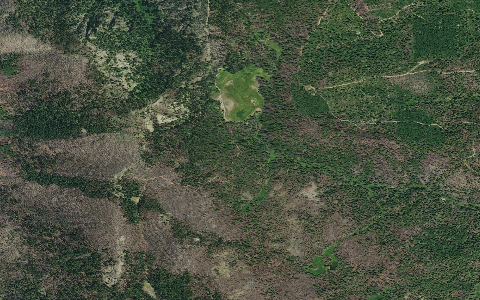 Aerial view centered on Kelly Lake camp area