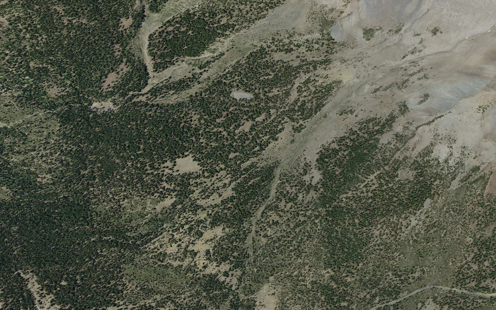 Aerial view centered on Fifty-Fifty Flat camp area