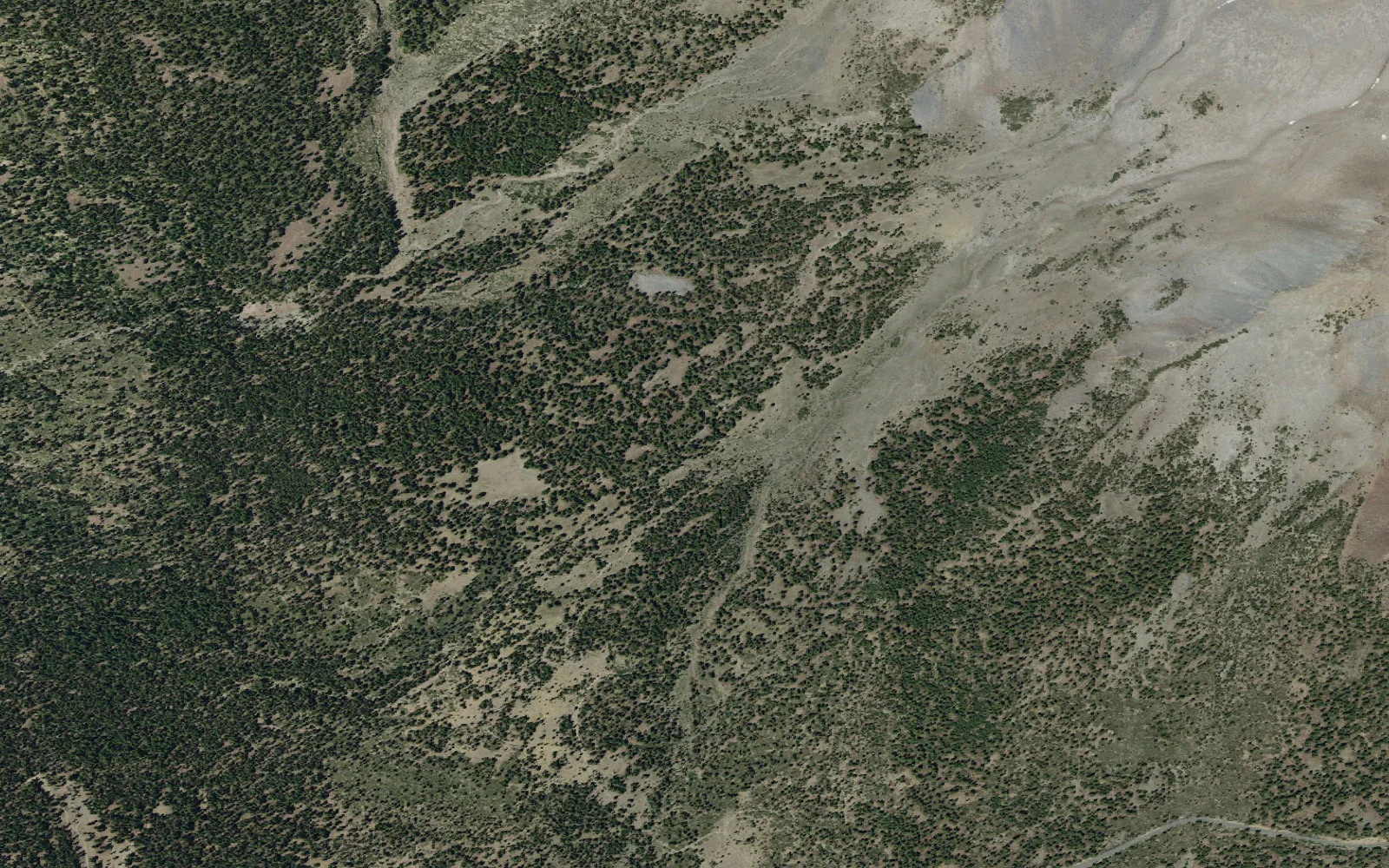 Aerial view centered on Horse Camp