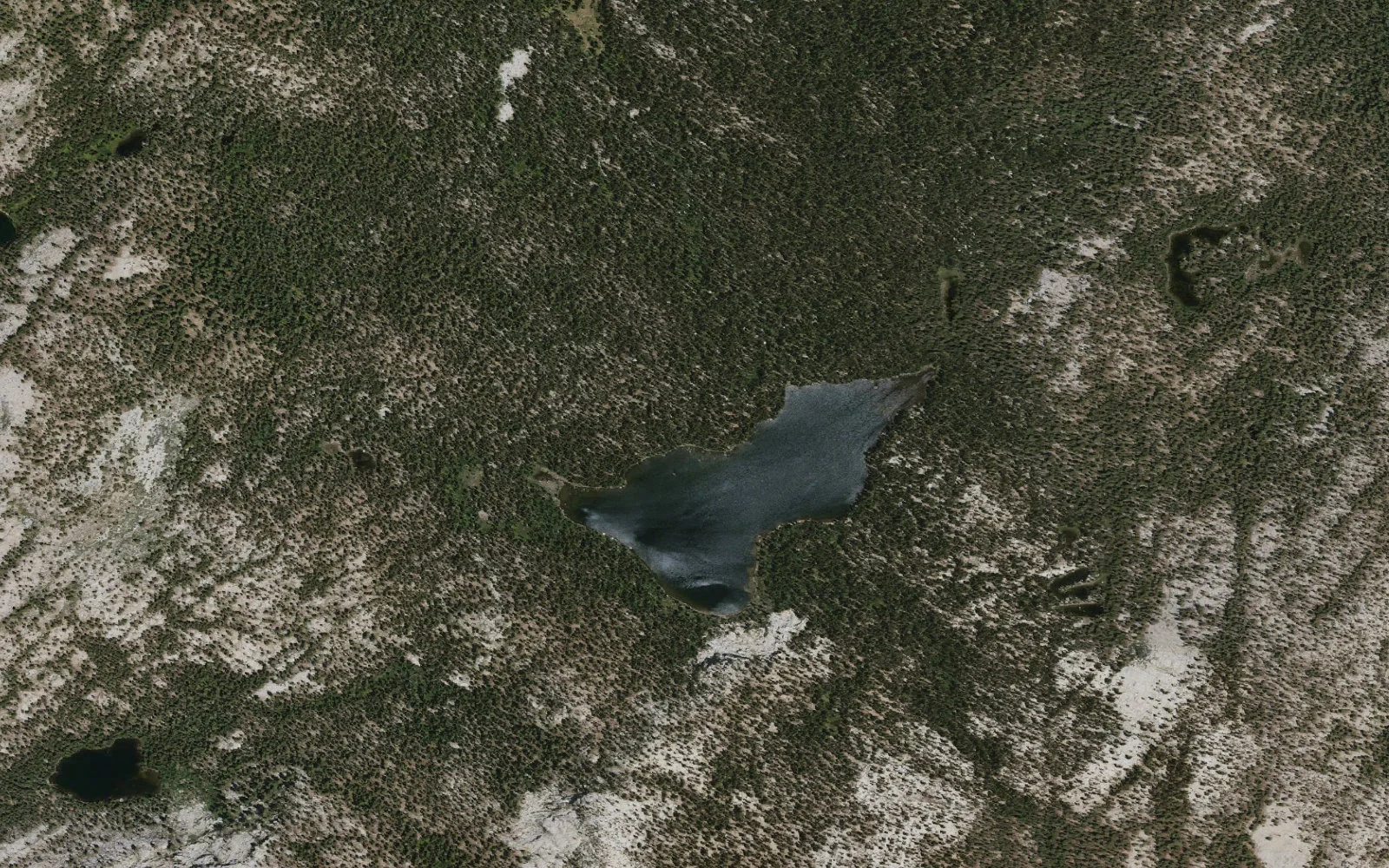 Aerial view centered on Coyote Lake camp area