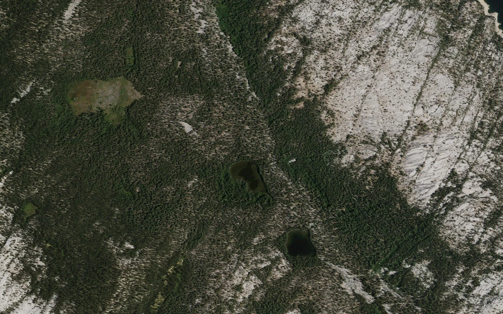 Aerial view centered on Dutch Lake camp area